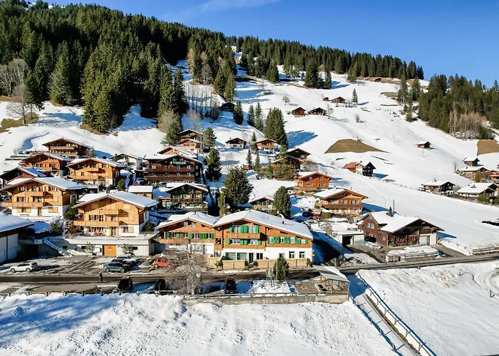 Apartman Alpen Bijou Mit Bergkulisse & Liebe Zum Detail Adelboden